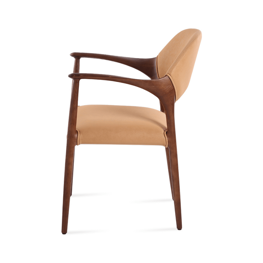 Aalmeria caramel upholstered dining armchair with walnut-finish ash wood frame